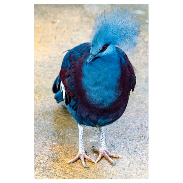 PHOTO84, CLUB, 84 , LUBERON